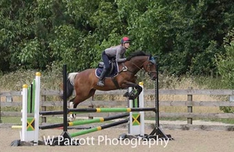"Spock " Tobiano Gelding All Rounder