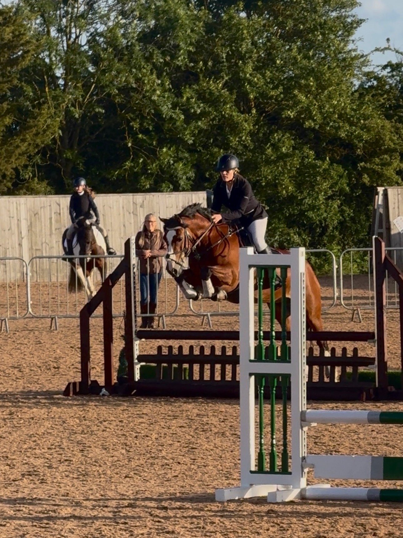 "Sage" Bay Mare All Rounder - All Rounders 