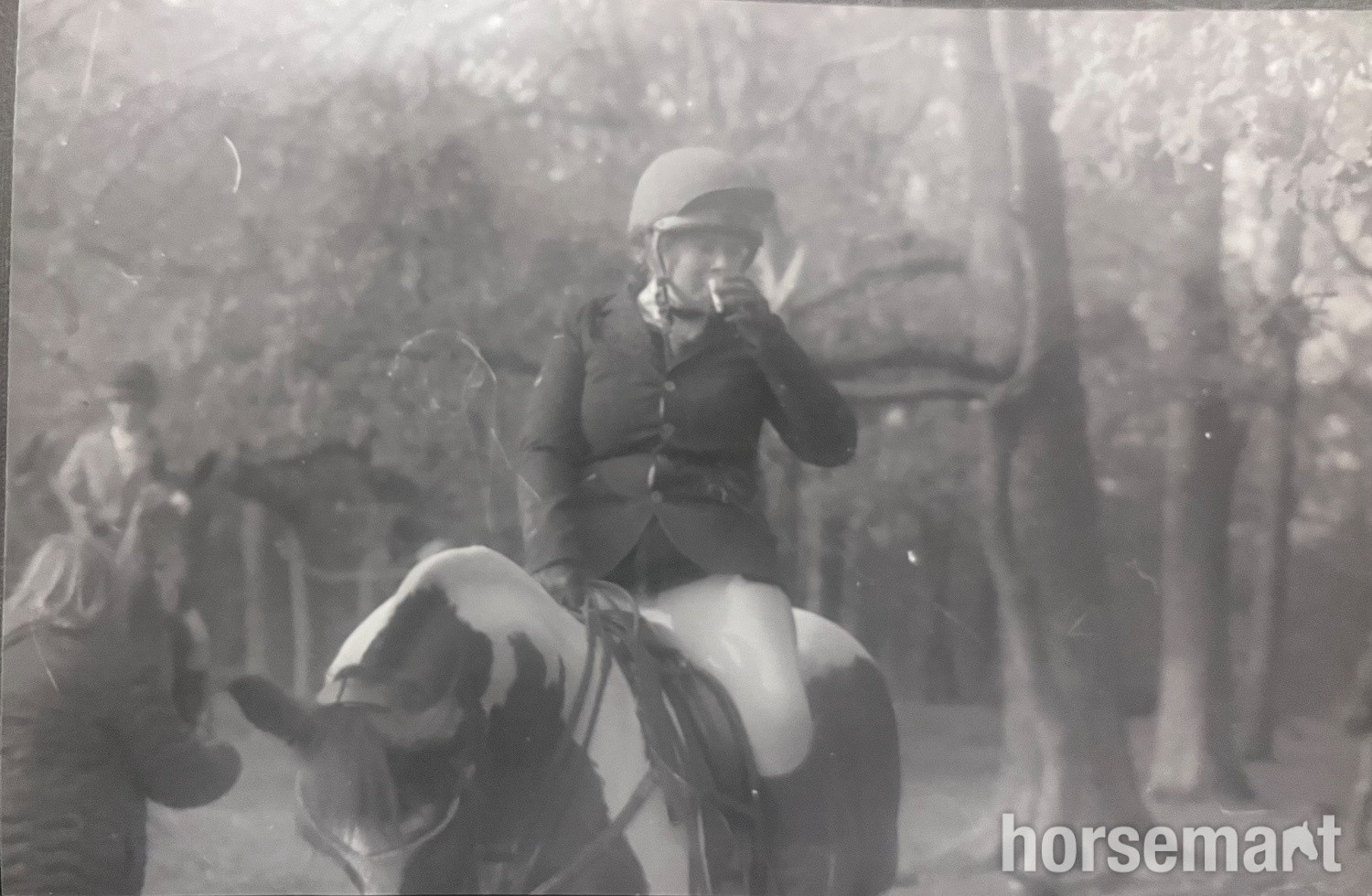 "Rags" Blue & White Gelding All Rounder - All Rounders 