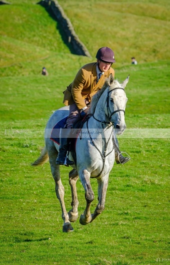 "Paddy" Grey Gelding All Rounder