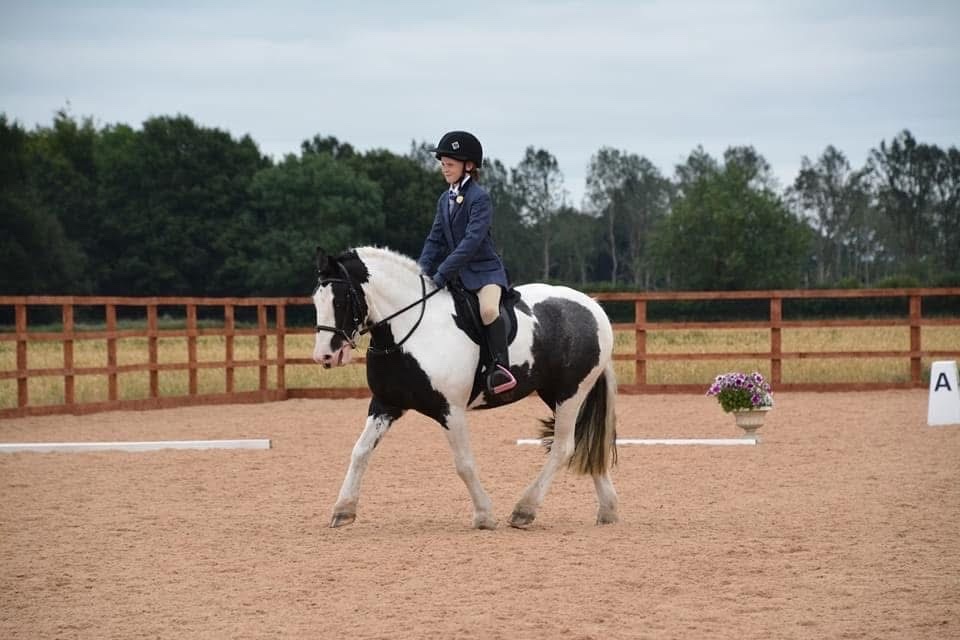 Pony Club Ponies  - "Cherry"  Mare Pony Club Pony
