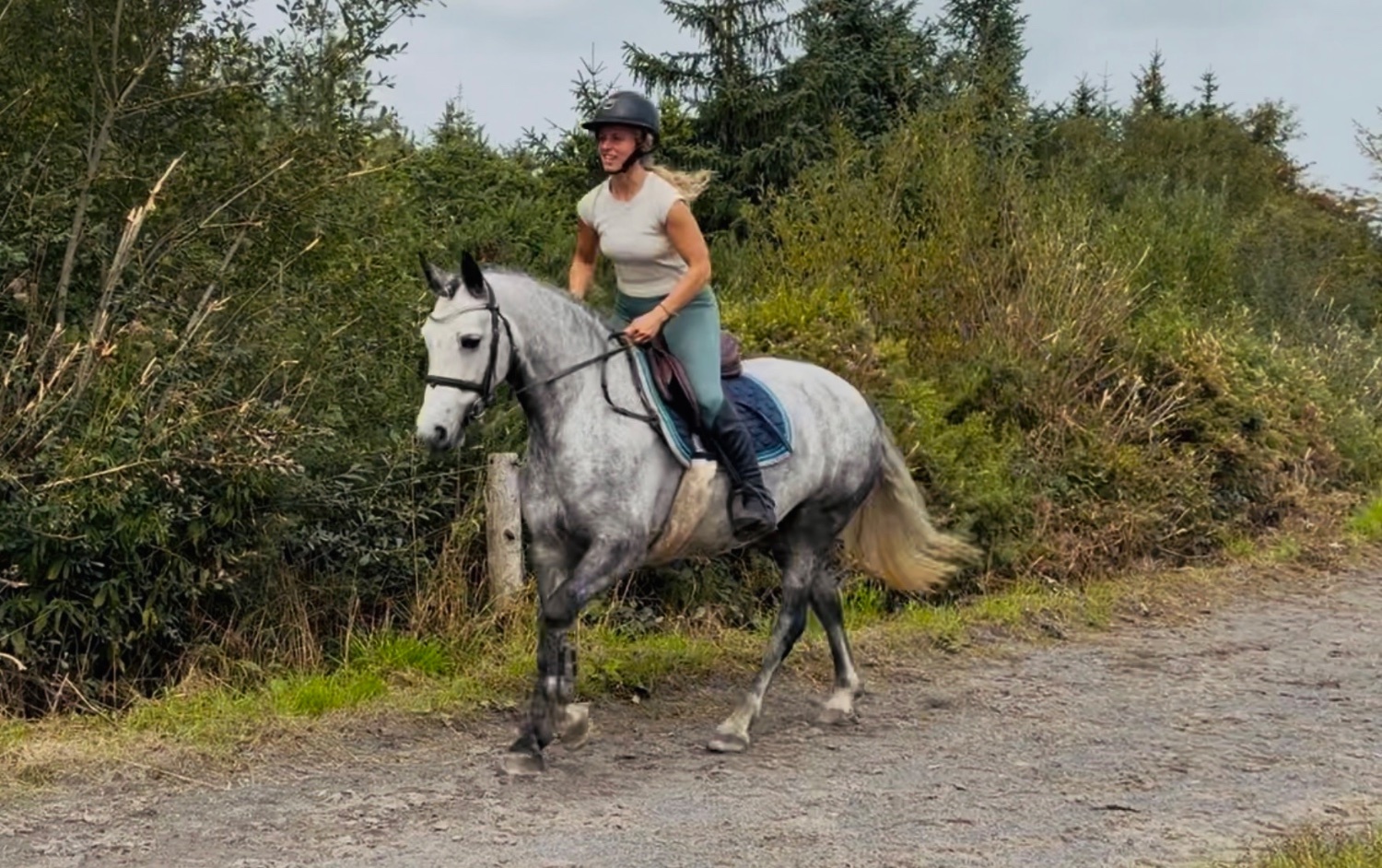 "Cleo: athletic, brave, honest, uncomplicated showjumping pony" Dapple Grey Mare Show Jumper - Show Jumpers