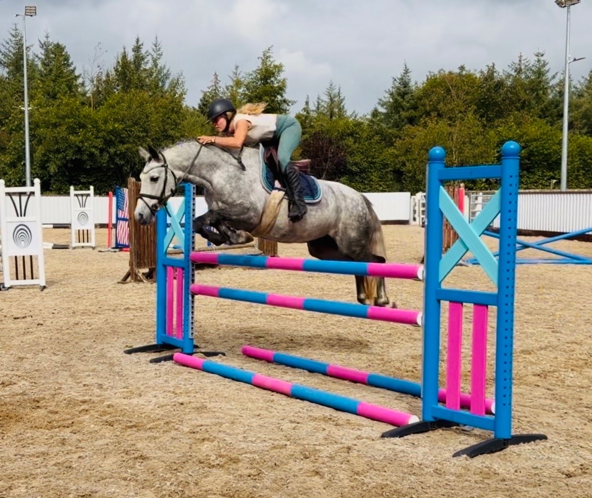Show Jumpers  - "Cleo: athletic, brave, honest, uncomplicated showjumping pony" Dapple Grey Mare Show Jumper