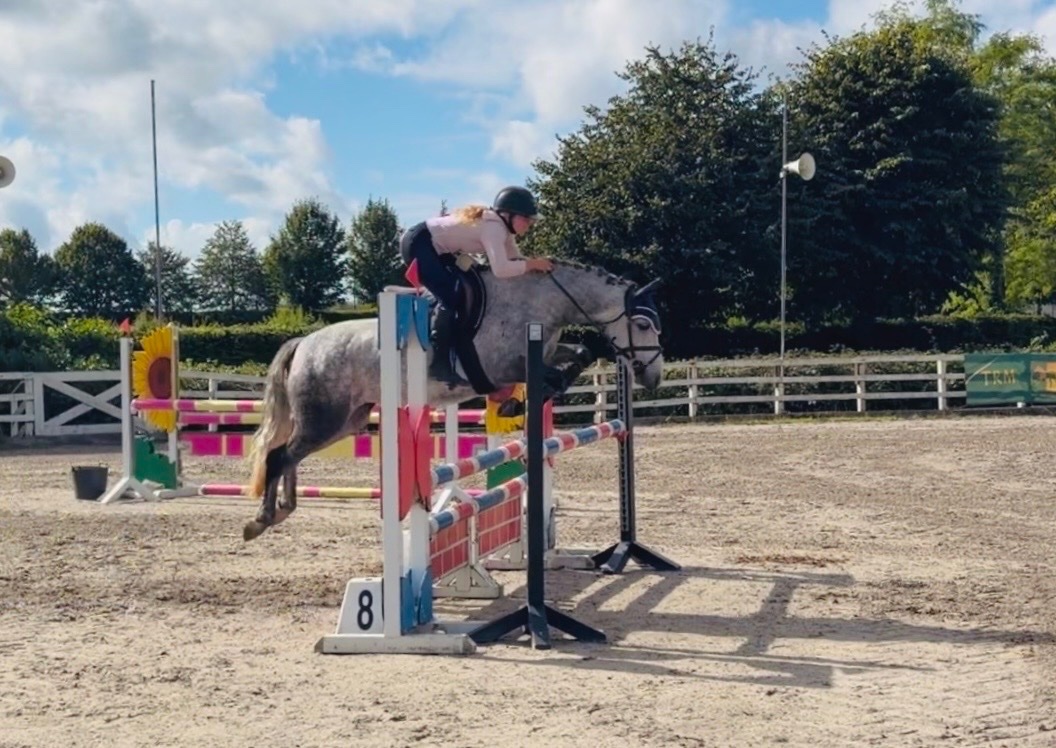 "Cleo: athletic, brave, honest, uncomplicated showjumping pony" Dapple Grey Mare Show Jumper