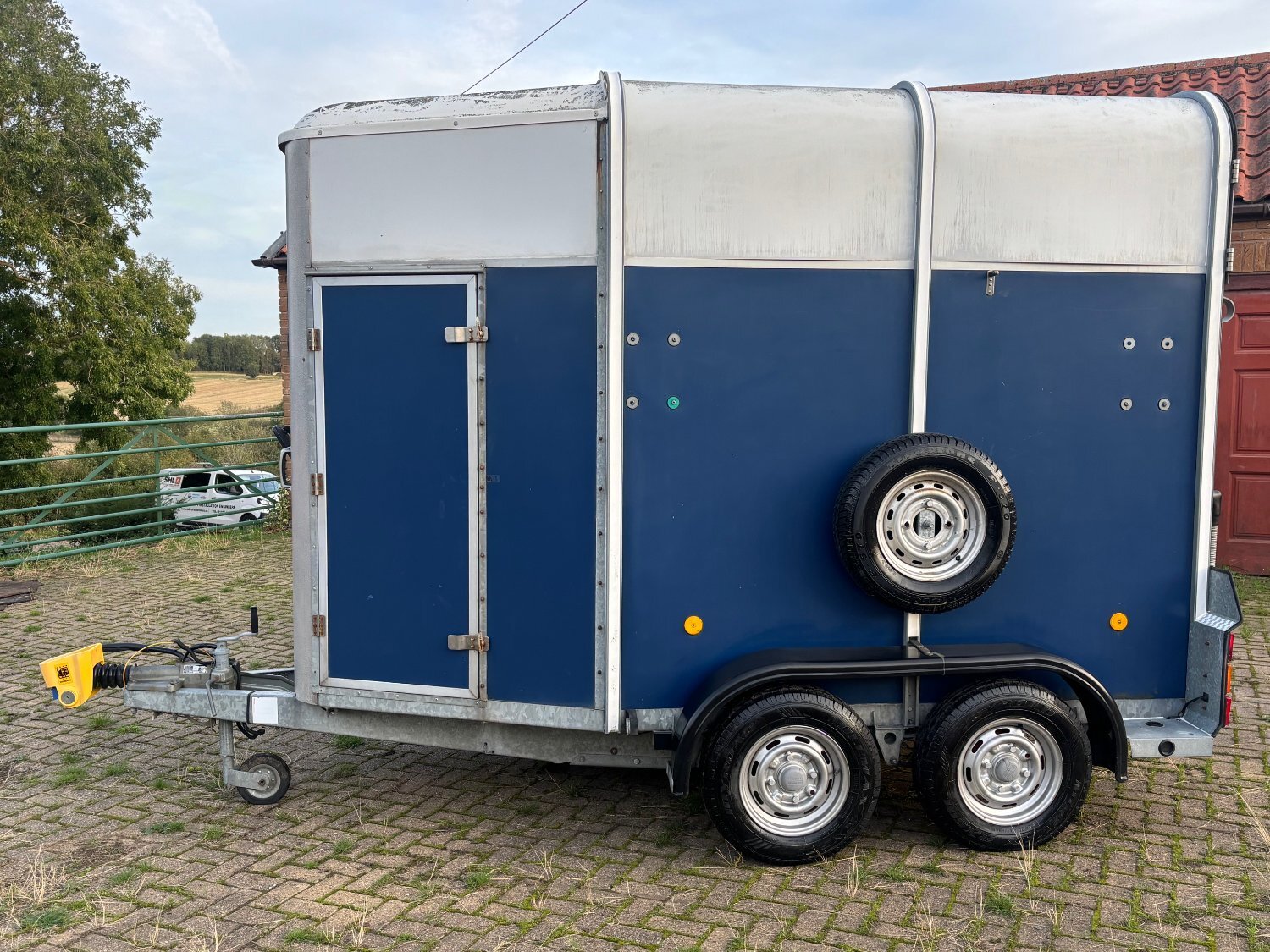 Ifor Williams HB505  Horse Trailer - Horse Trailers in 