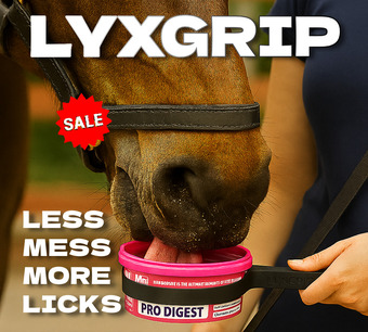 LyxGrip Mini Horslyx Holder - Mess-free treat dispensing