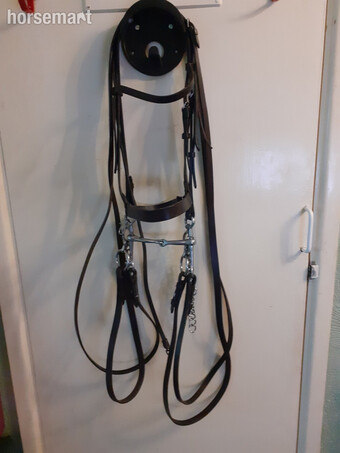 Pony Show Double Bridle