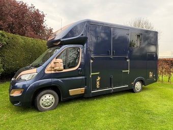 2024 Citroen Foxy stallion lux Horsebox