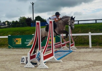 "Ash: quiet, brave, versatile, extremely easy ride" Rose Grey Gelding All Rounder