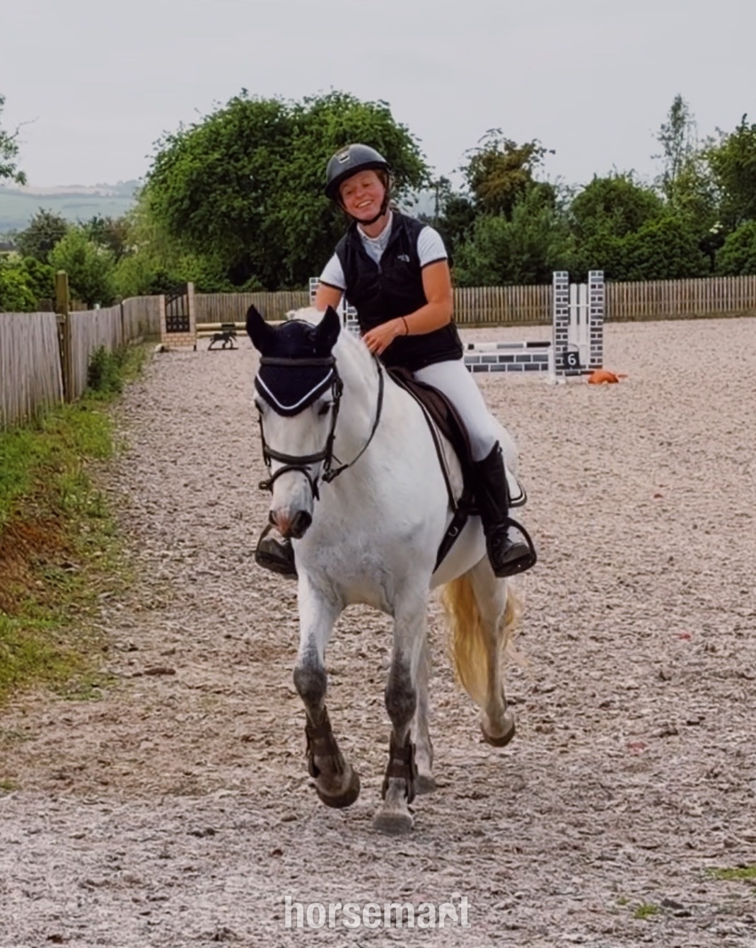 "Destiny: trustworthy, easy and forgiving ideal mother/daughter share" White Mare All Rounder - All Rounders 