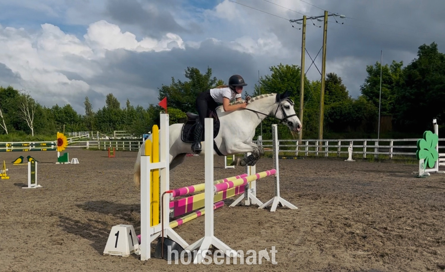 "Destiny: trustworthy, easy and forgiving ideal mother/daughter share" White Mare All Rounder - 