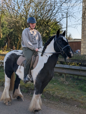 "TIZZY " Coloured Mare All Rounder