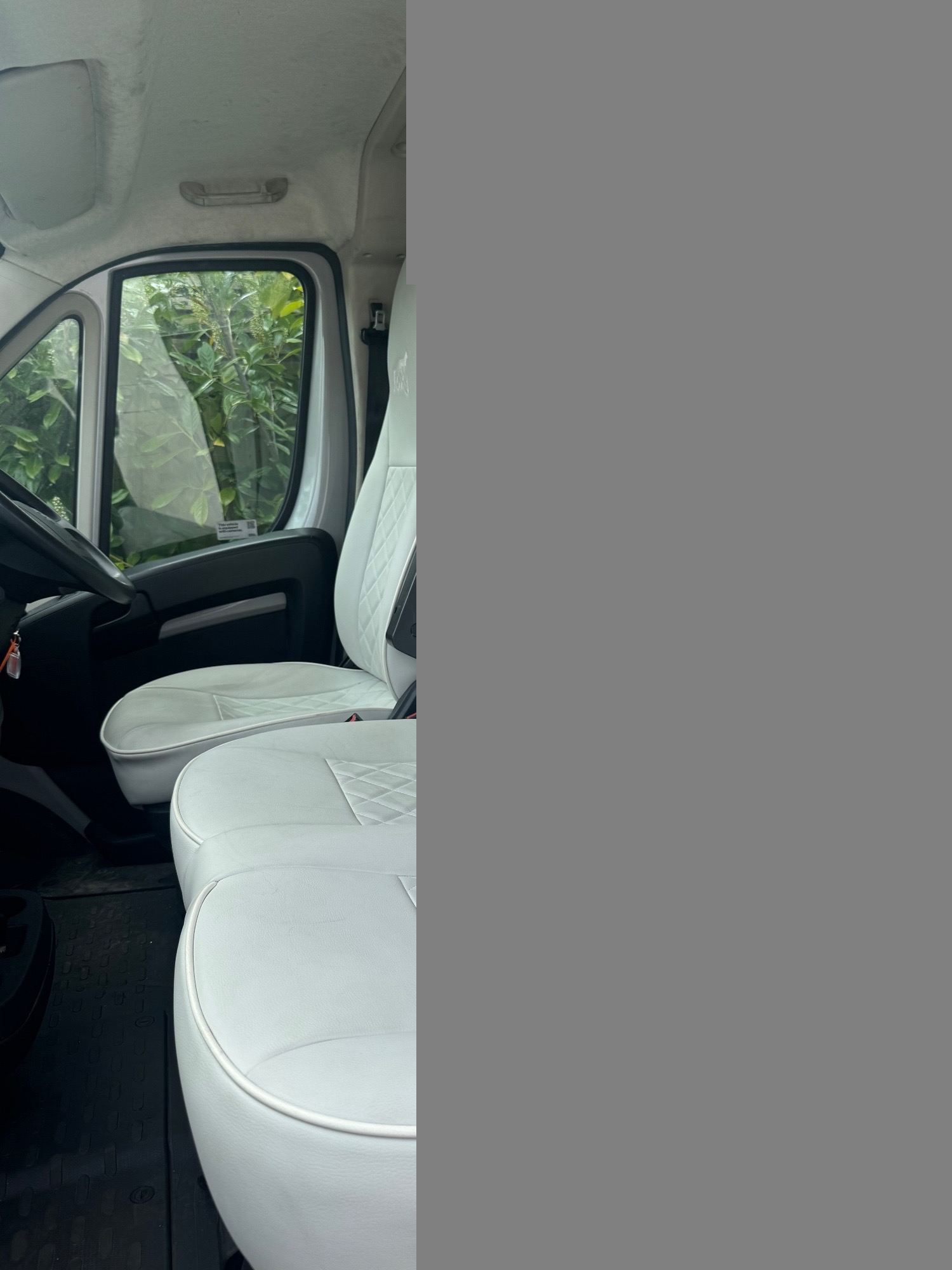  Foxy Stallion Lux Vauxhall Horsebox