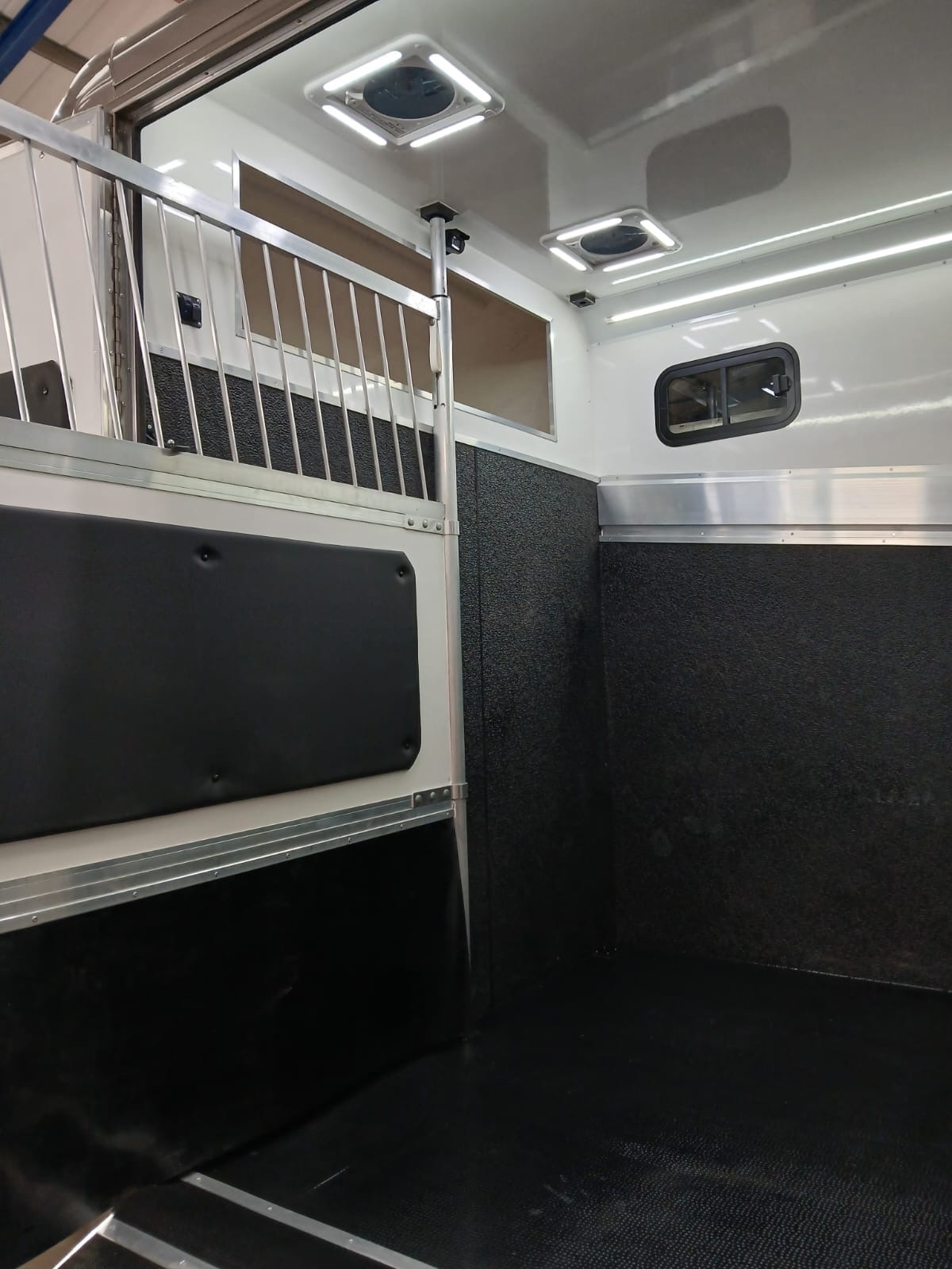  Foxy Stallion Vauxhall Horsebox