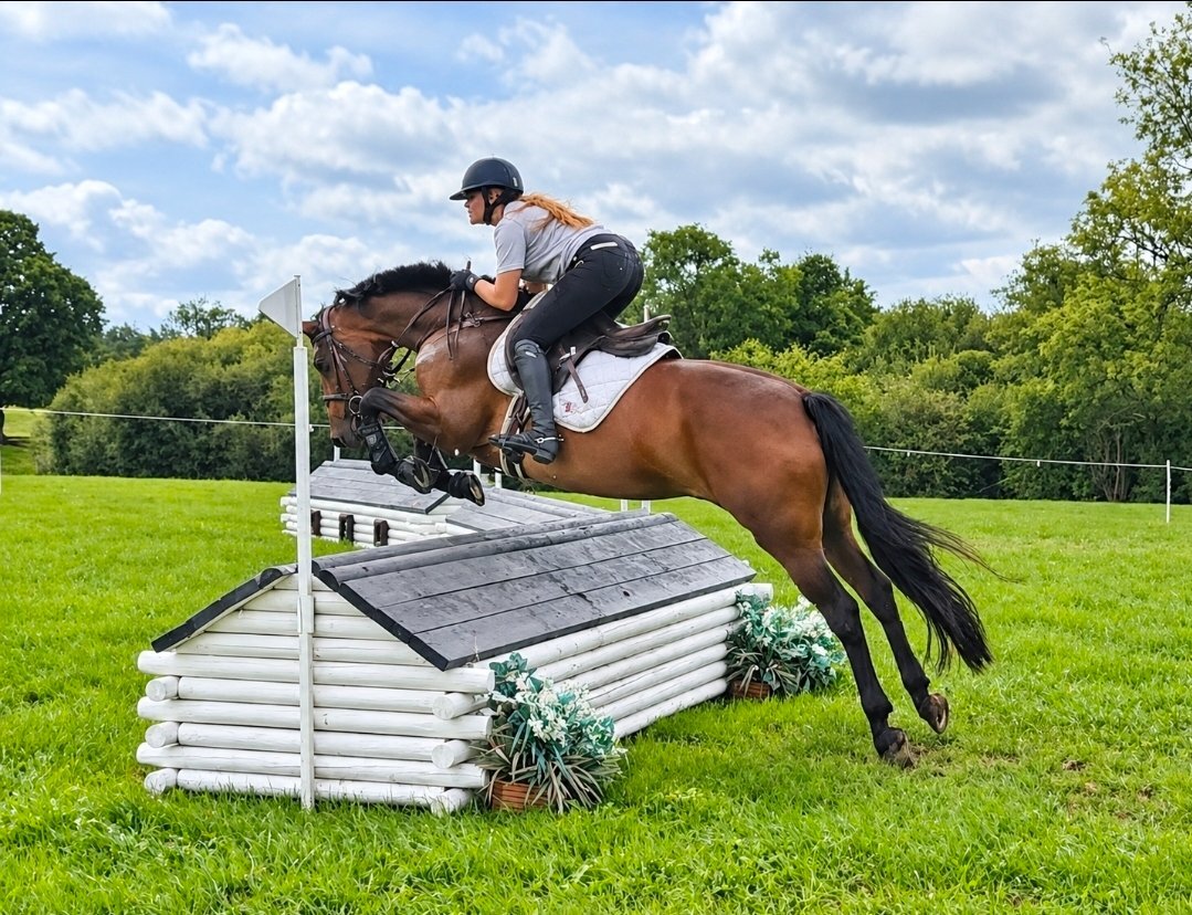 All Rounders  - "Tanmy"  Mare All Rounder