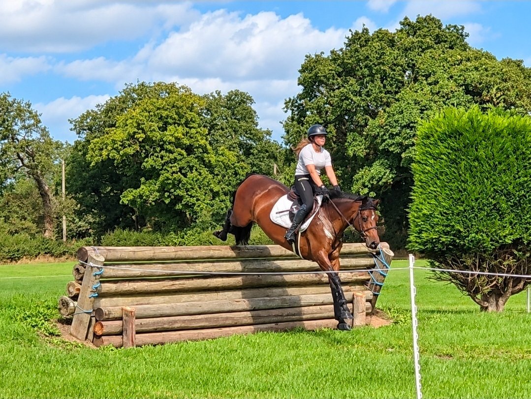 "Tanmy"  Mare All Rounder - All Rounders 