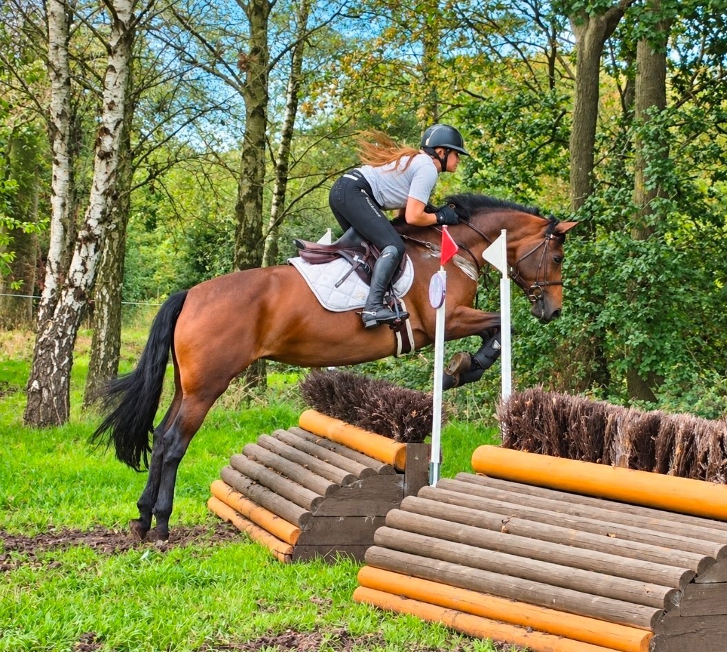 "Tanmy"  Mare All Rounder - 