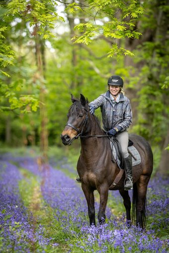 "Trifolio's Progression" Dark Bay Mare All Rounder