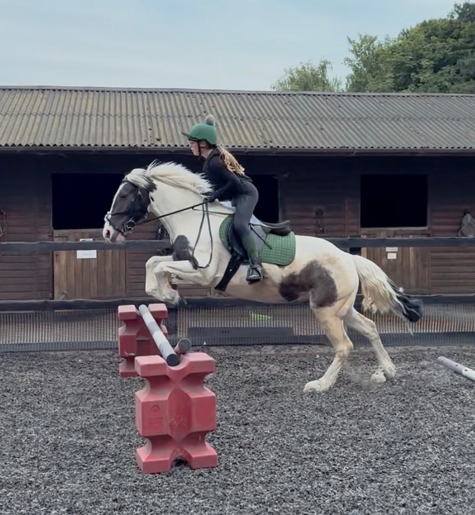 All Rounders  - "Cornelius " Piebald Gelding All Rounder
