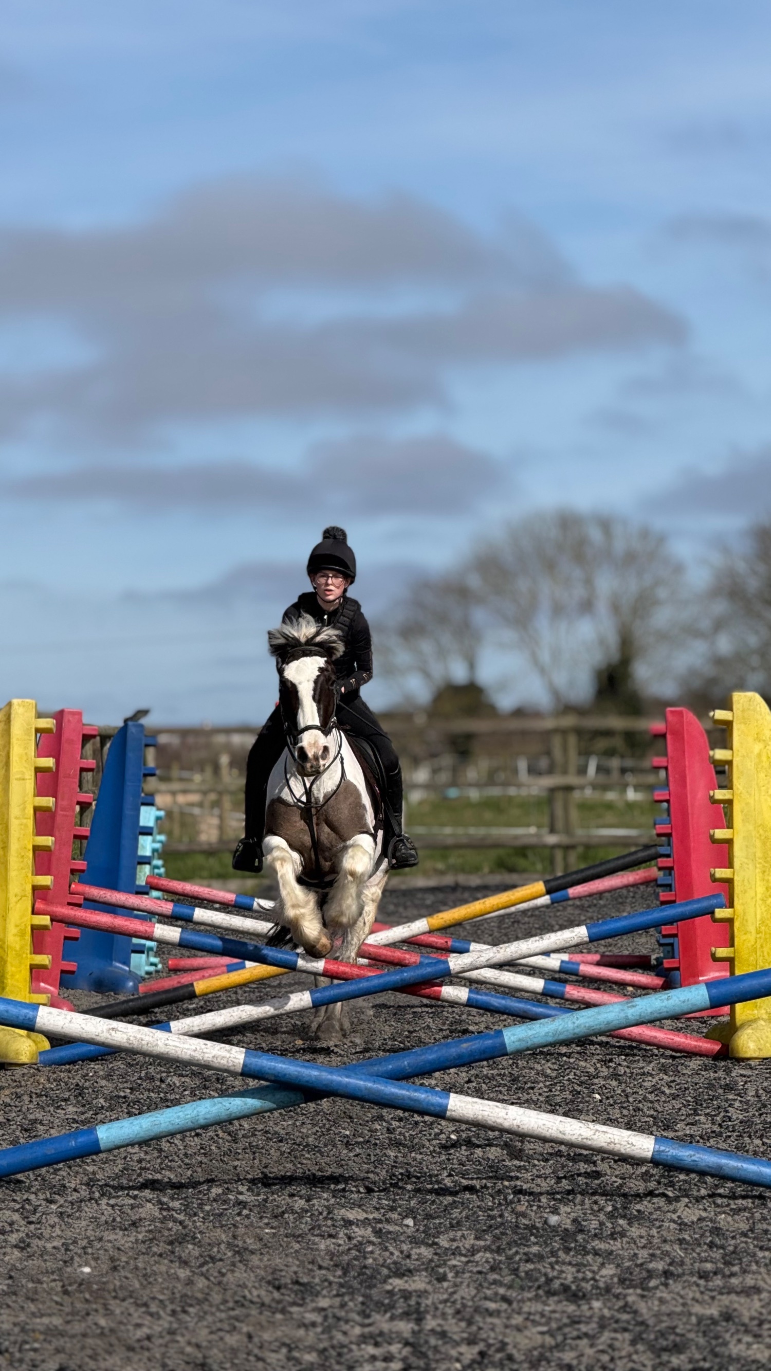 "Cornelius " Piebald Gelding All Rounder