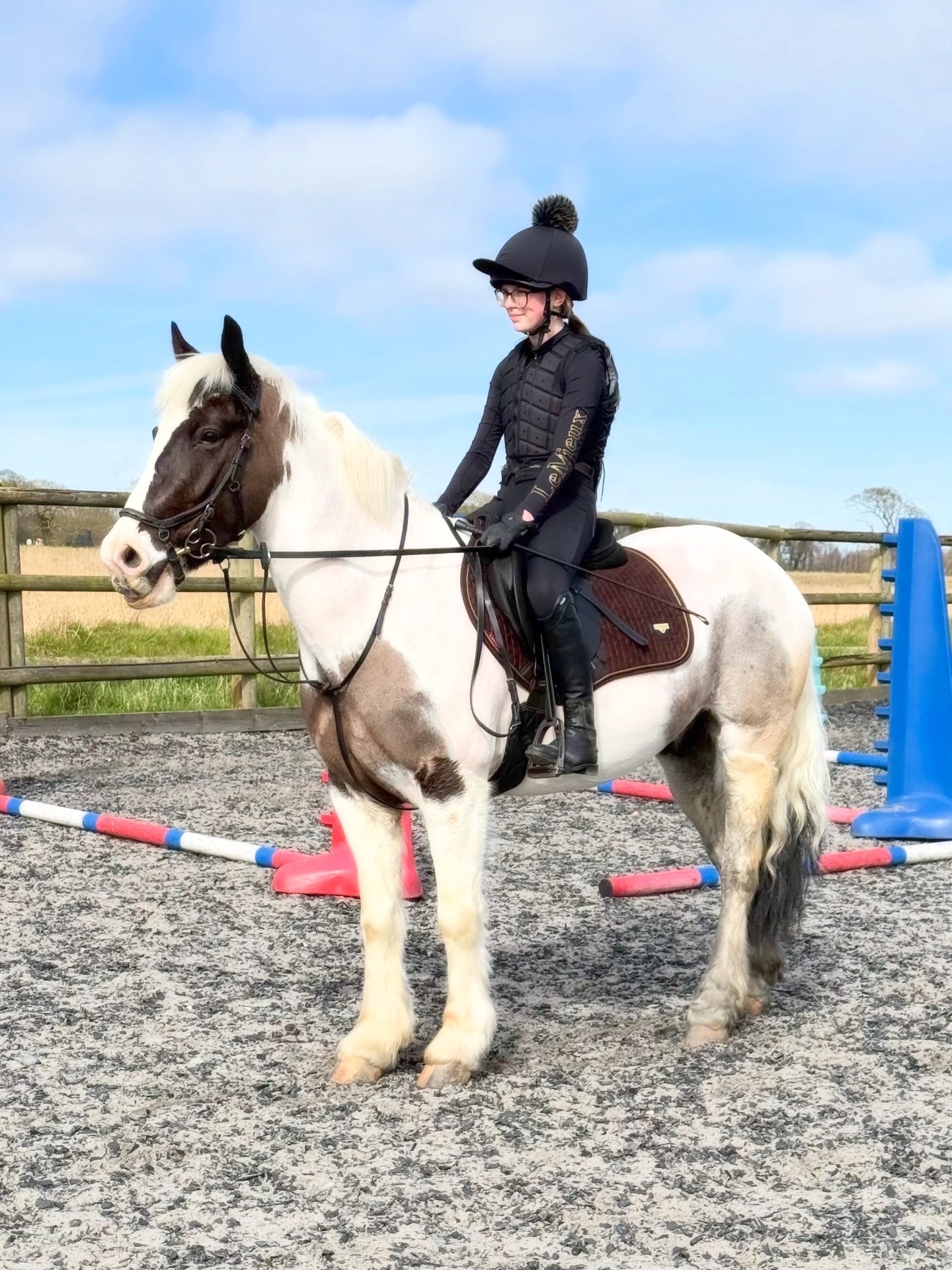  "Cornelius " Piebald Gelding All Rounder