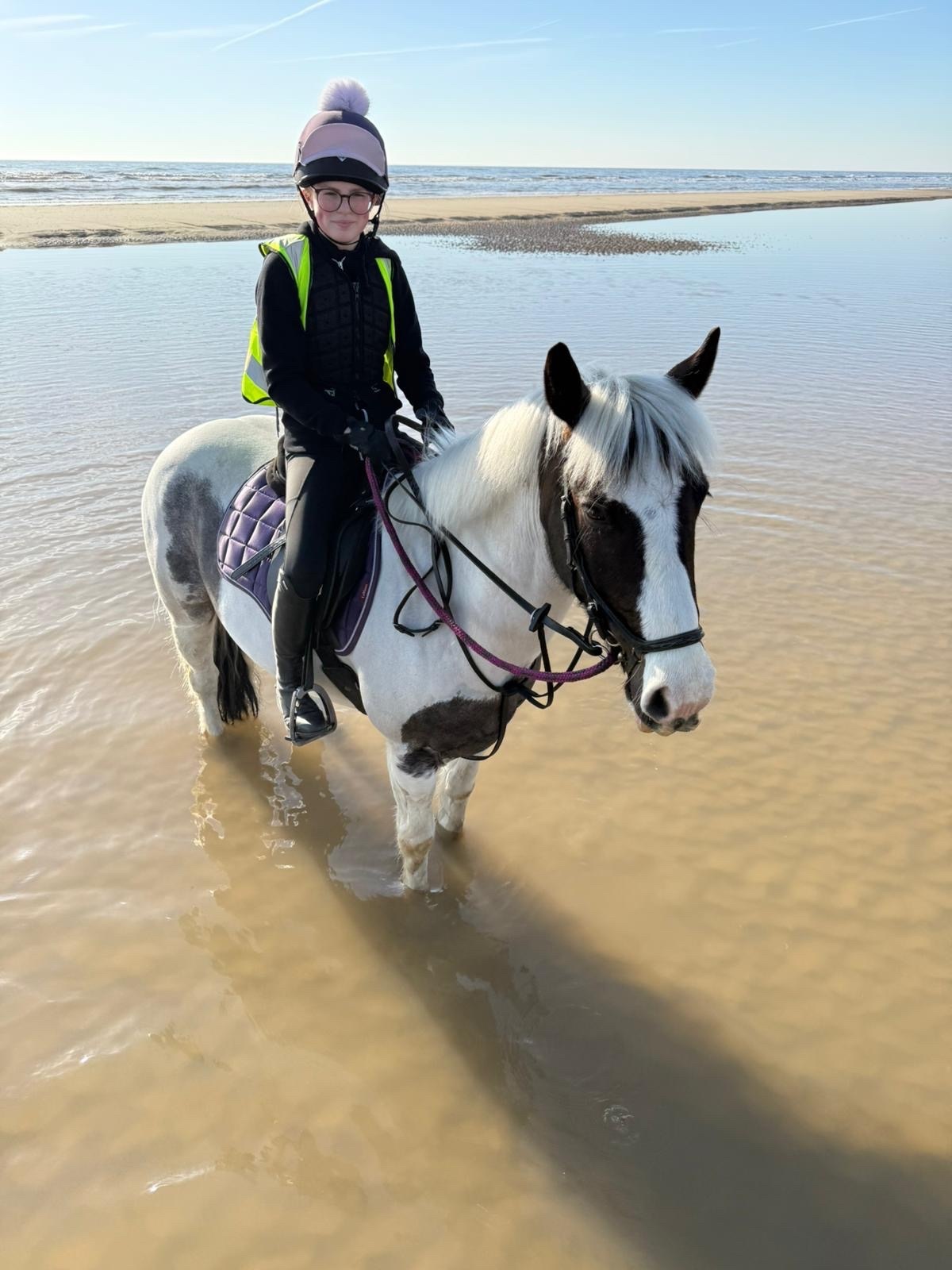 "Cornelius " Piebald Gelding All Rounder 