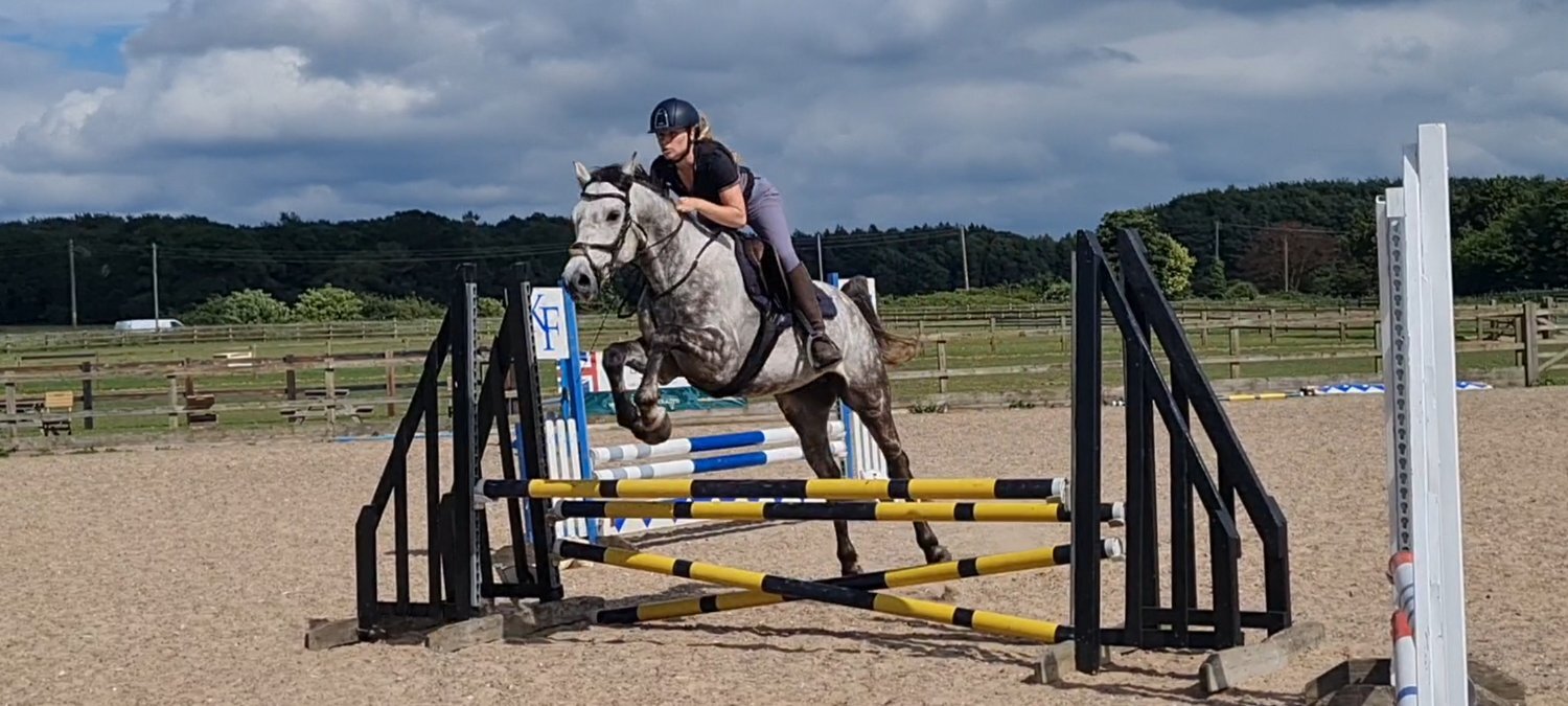 "Rielly" Dapple Grey Gelding All Rounder