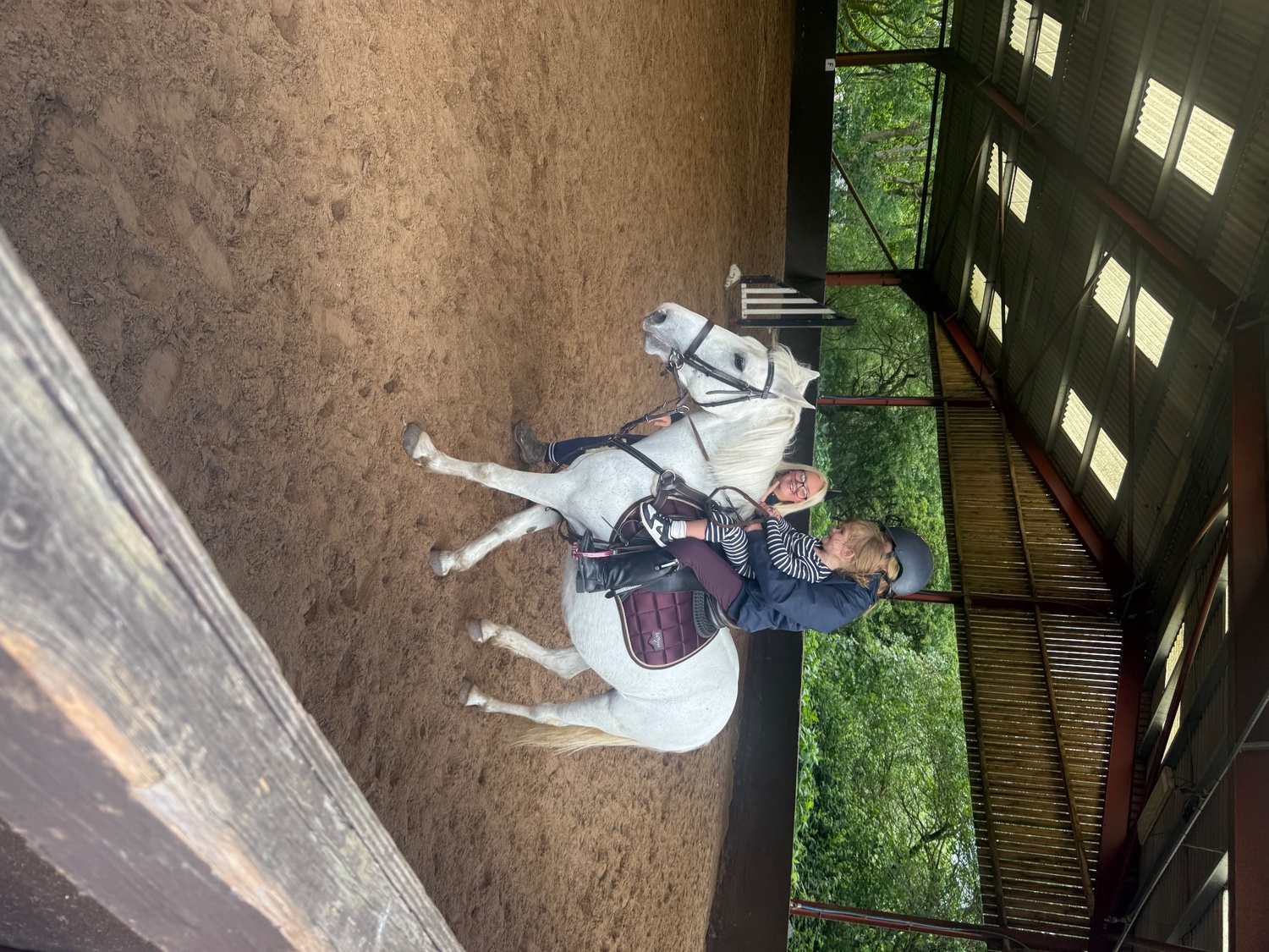 "Adele " White Mare All Rounder - All Rounders