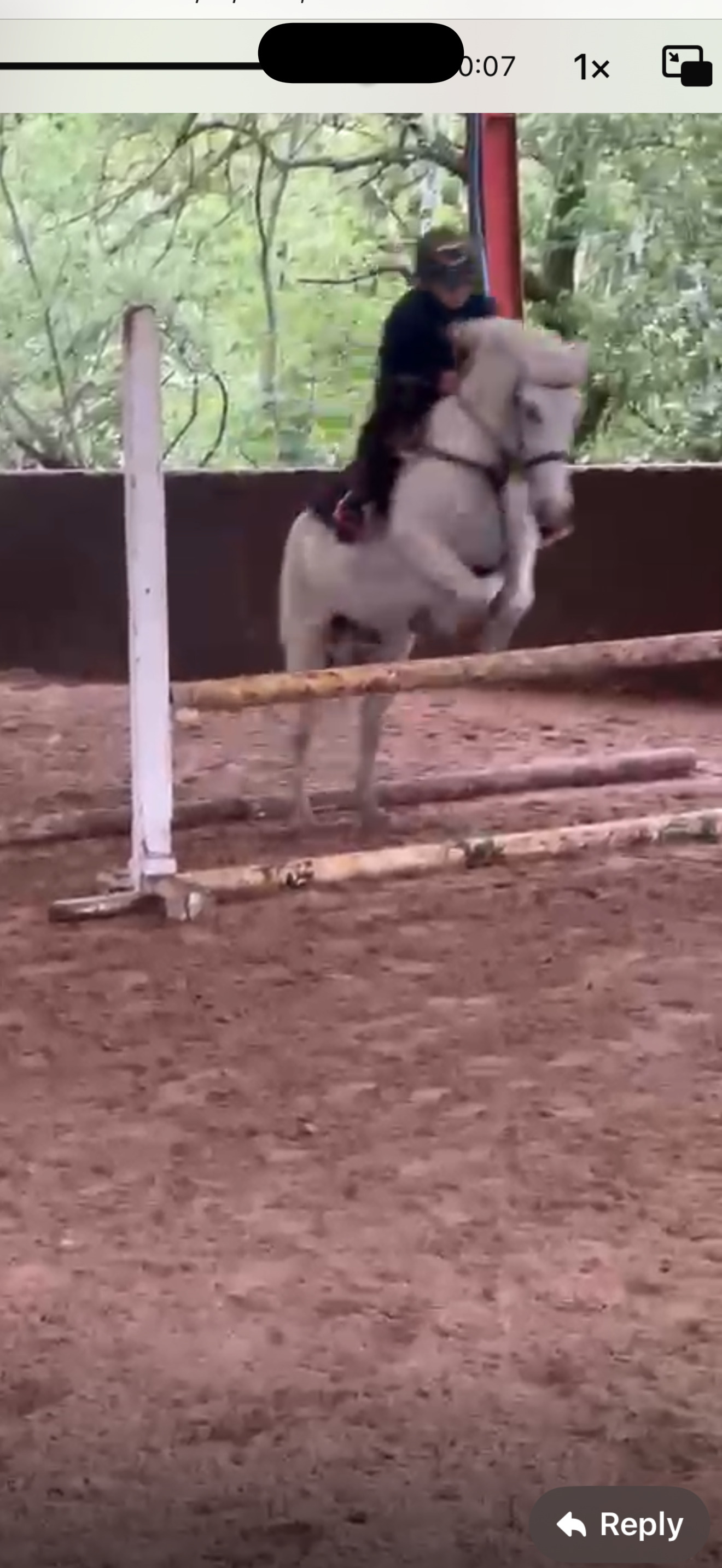 "Adele " White Mare All Rounder - All Rounders 