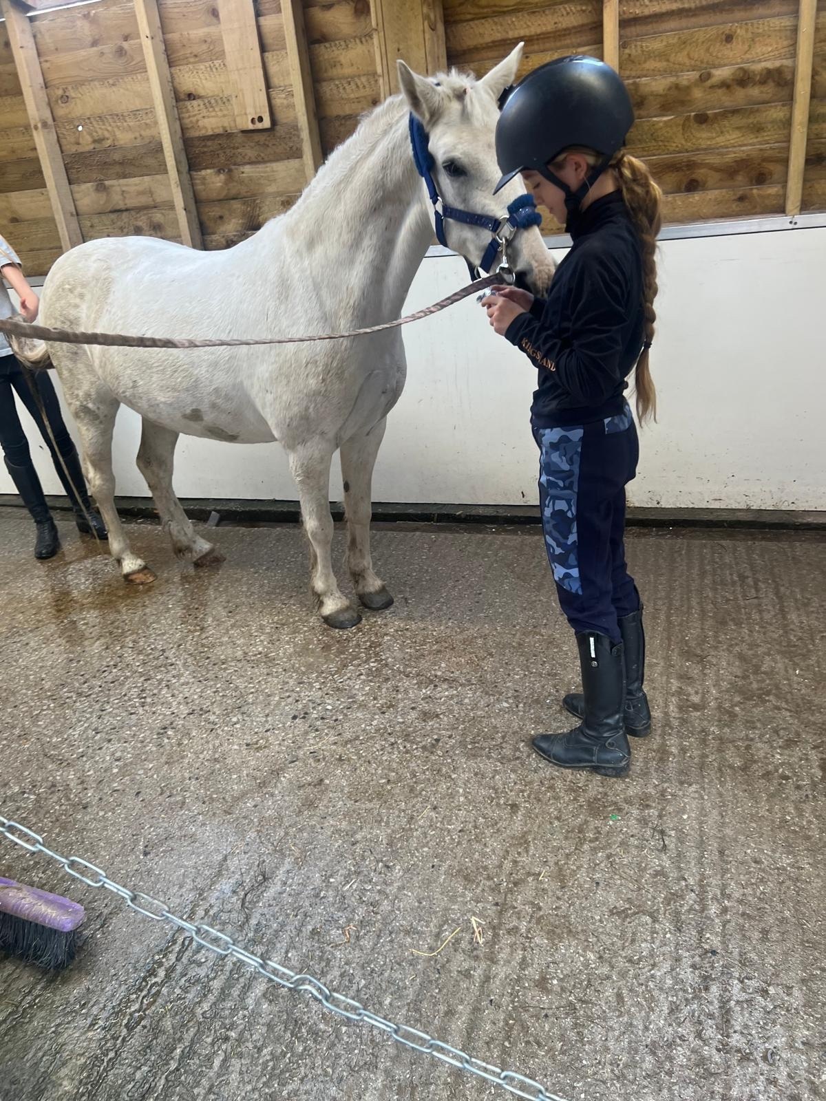 All Rounders  - "Adele " White Mare All Rounder