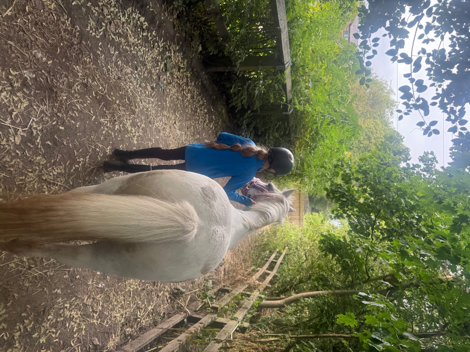  "Adele " White Mare All Rounder