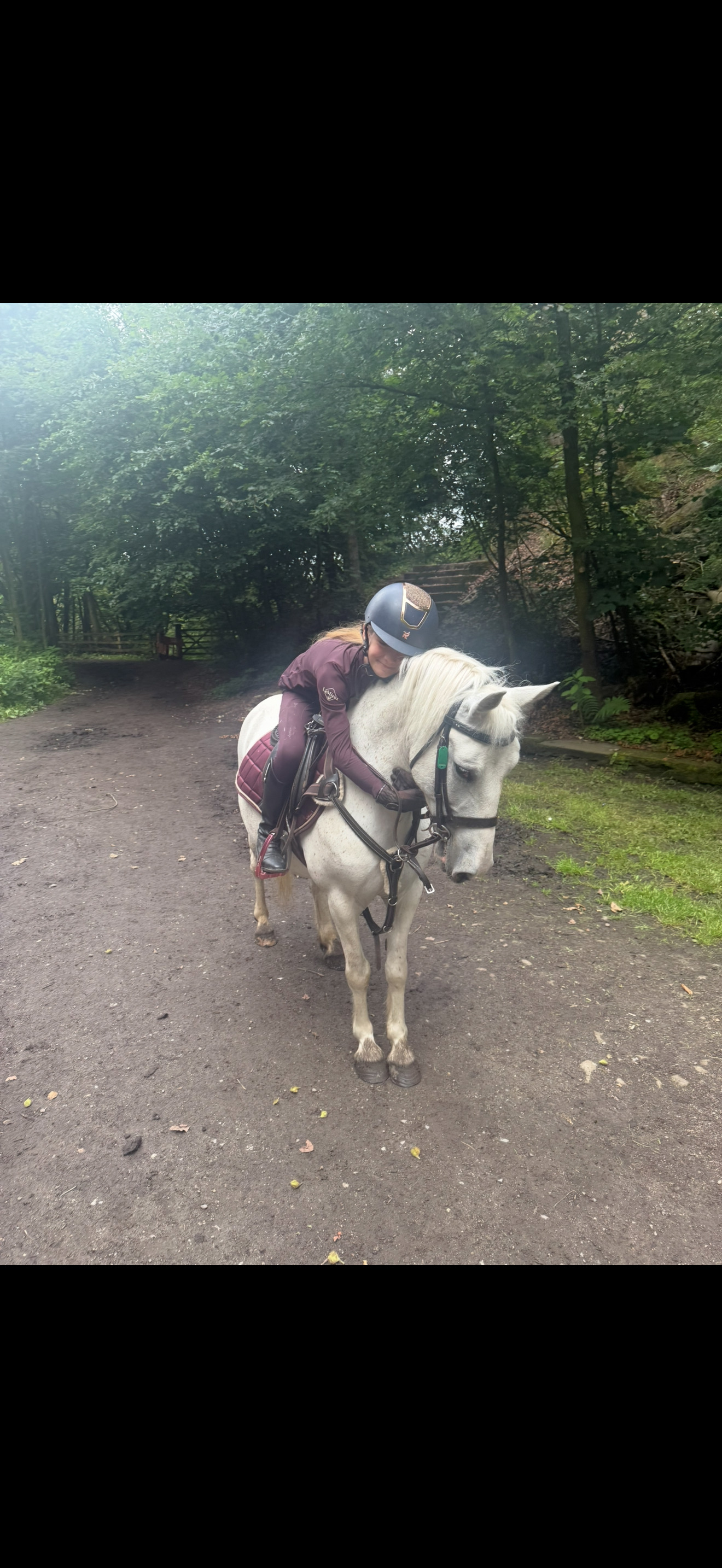 "Adele " White Mare All Rounder - All Rounders in 