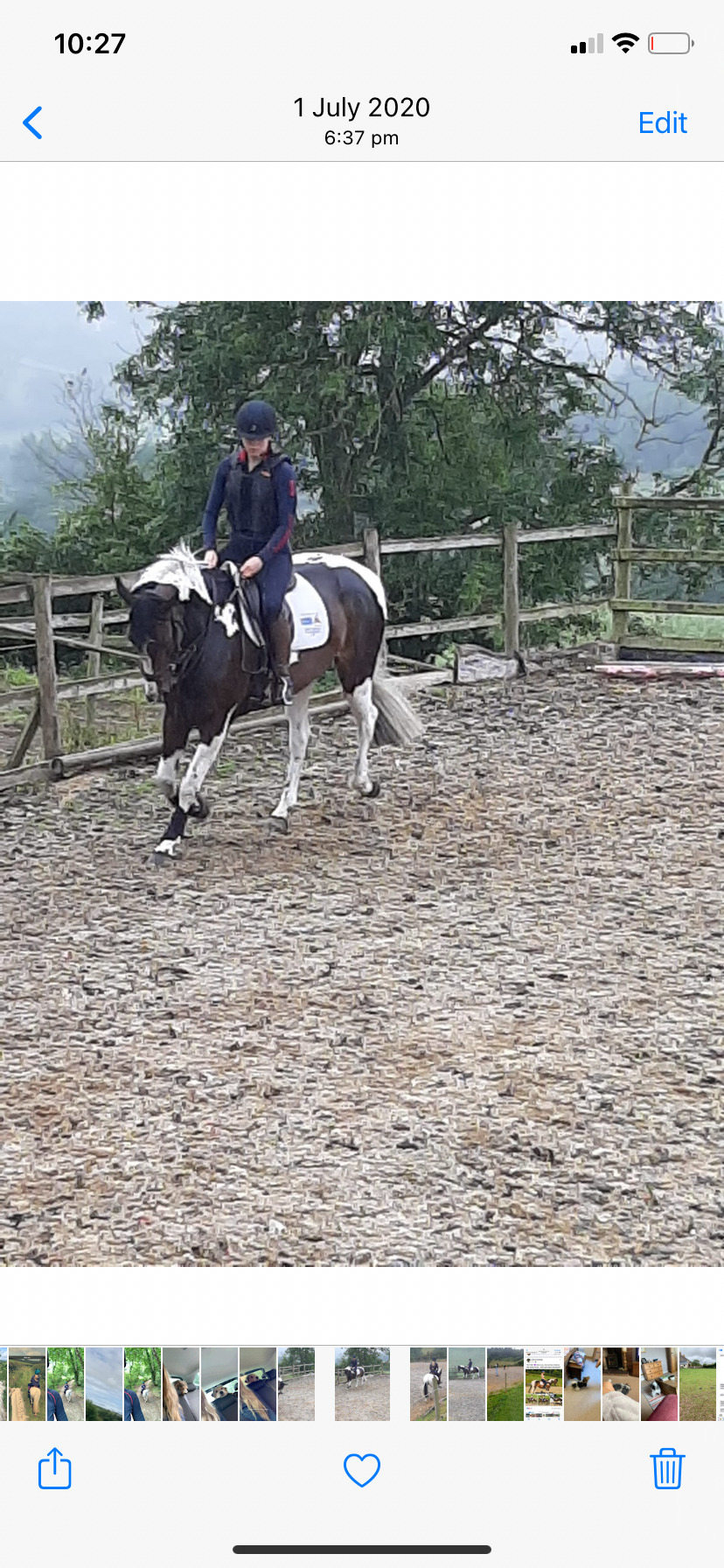 All Rounders  - "BRINETON GIRL TALK" Coloured Mare All Rounder