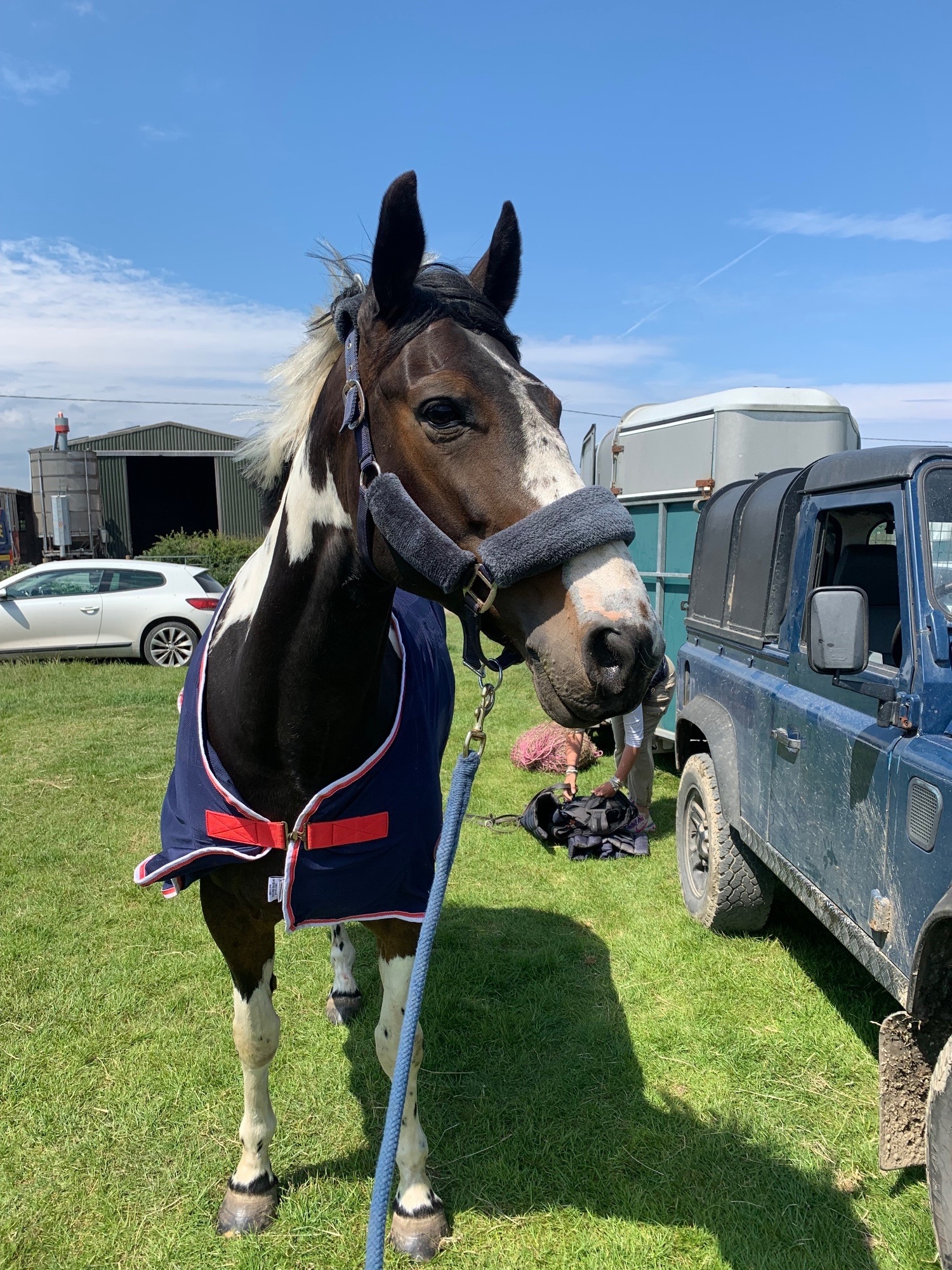 "BRINETON GIRL TALK" Coloured Mare All Rounder - All Rounders 