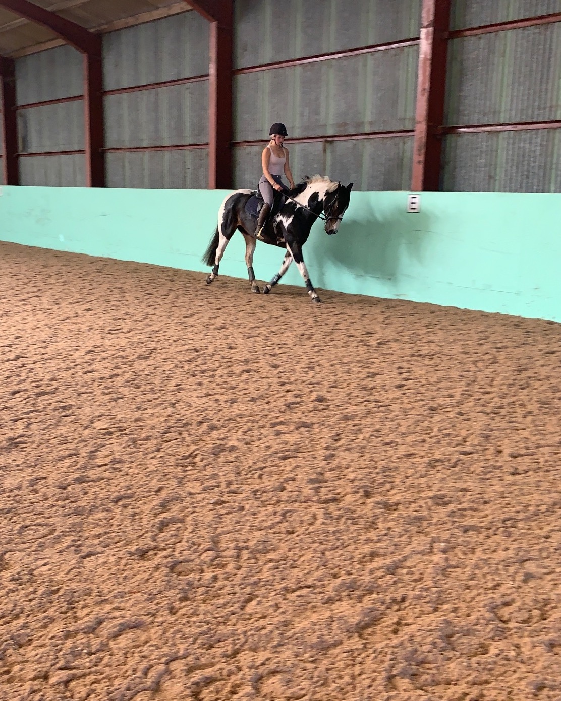 "BRINETON GIRL TALK" Coloured Mare All Rounder - All Rounders