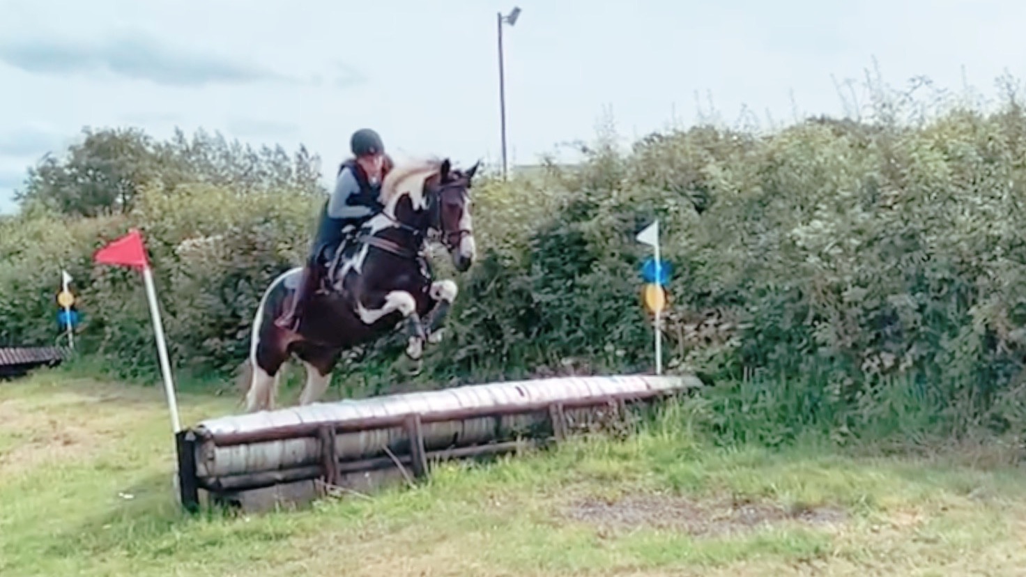  "BRINETON GIRL TALK" Coloured Mare All Rounder