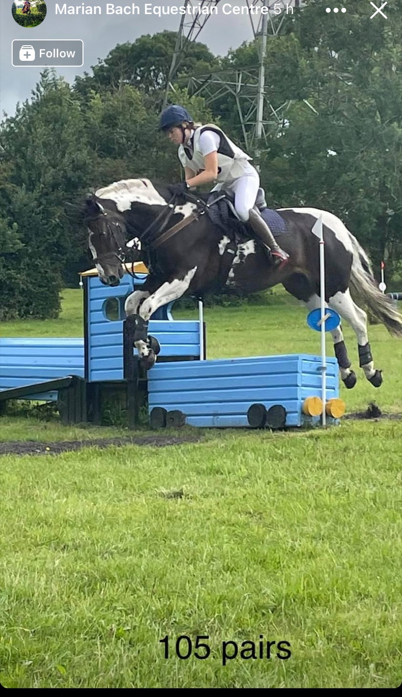 "BRINETON GIRL TALK" Coloured Mare All Rounder - All Rounders in 