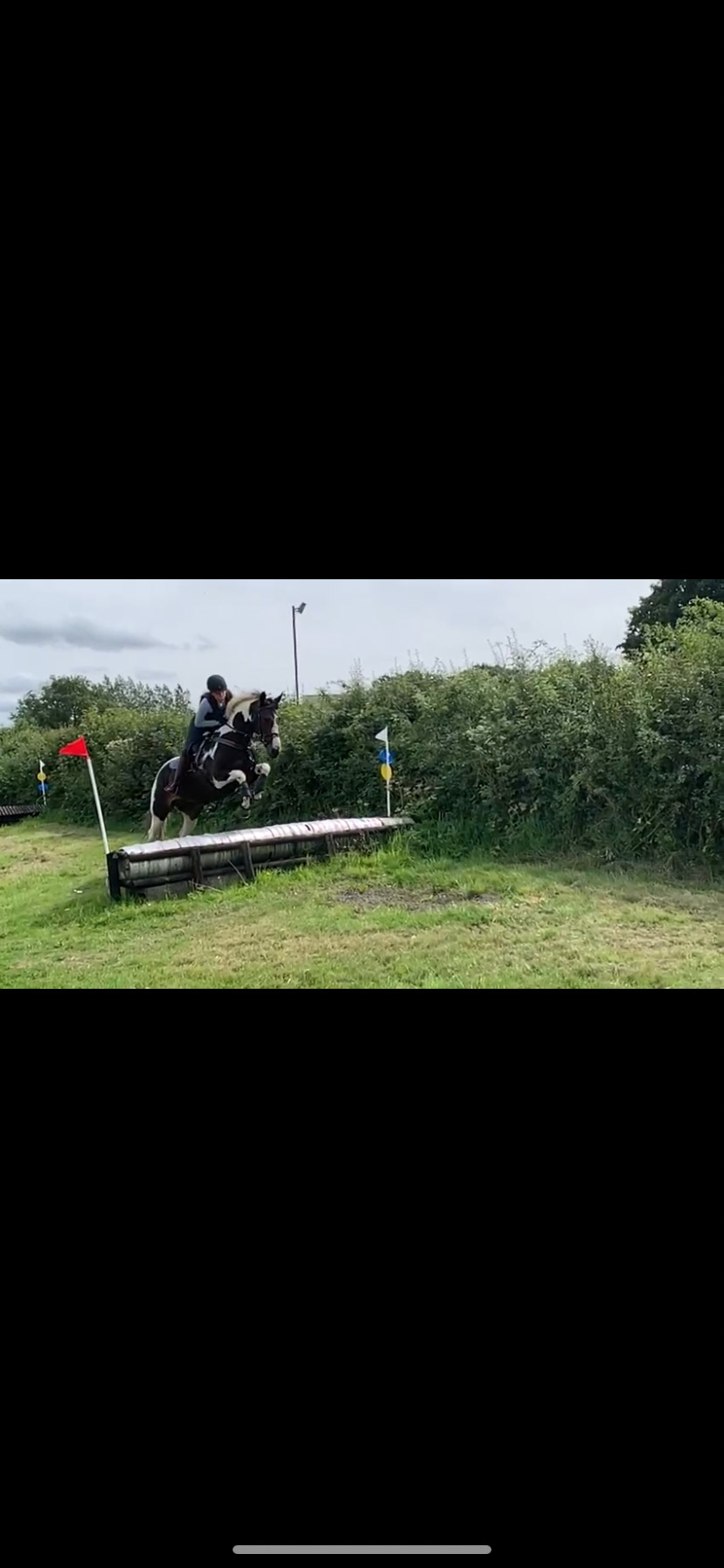 "BRINETON GIRL TALK" Coloured Mare All Rounder - All Rounders