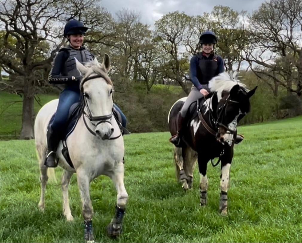 All Rounders - "BRINETON GIRL TALK" Coloured Mare All Rounder
