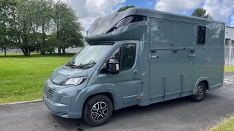 Regent Stallion Fiat Horsebox