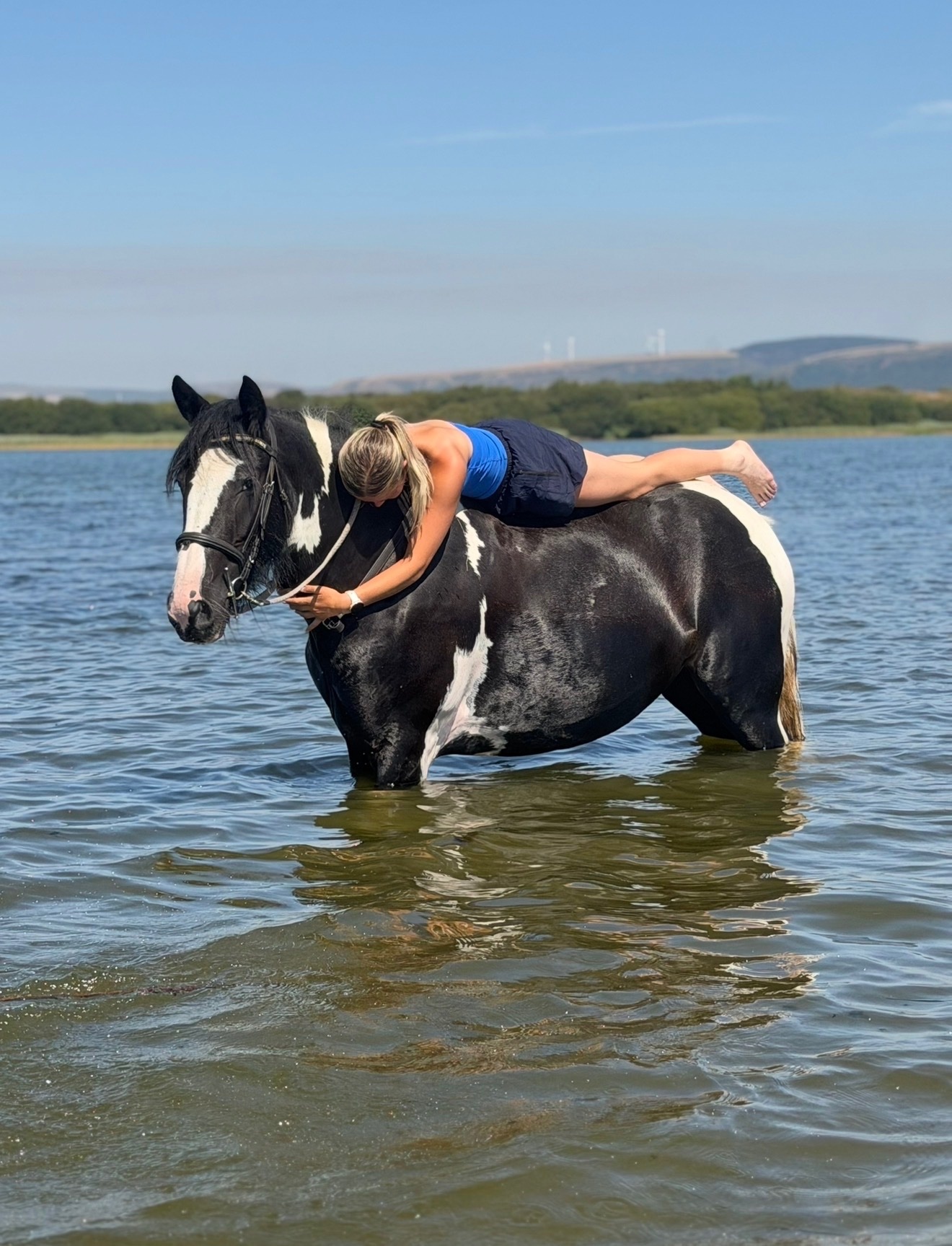 "Nova" Piebald Mare Coloured - 