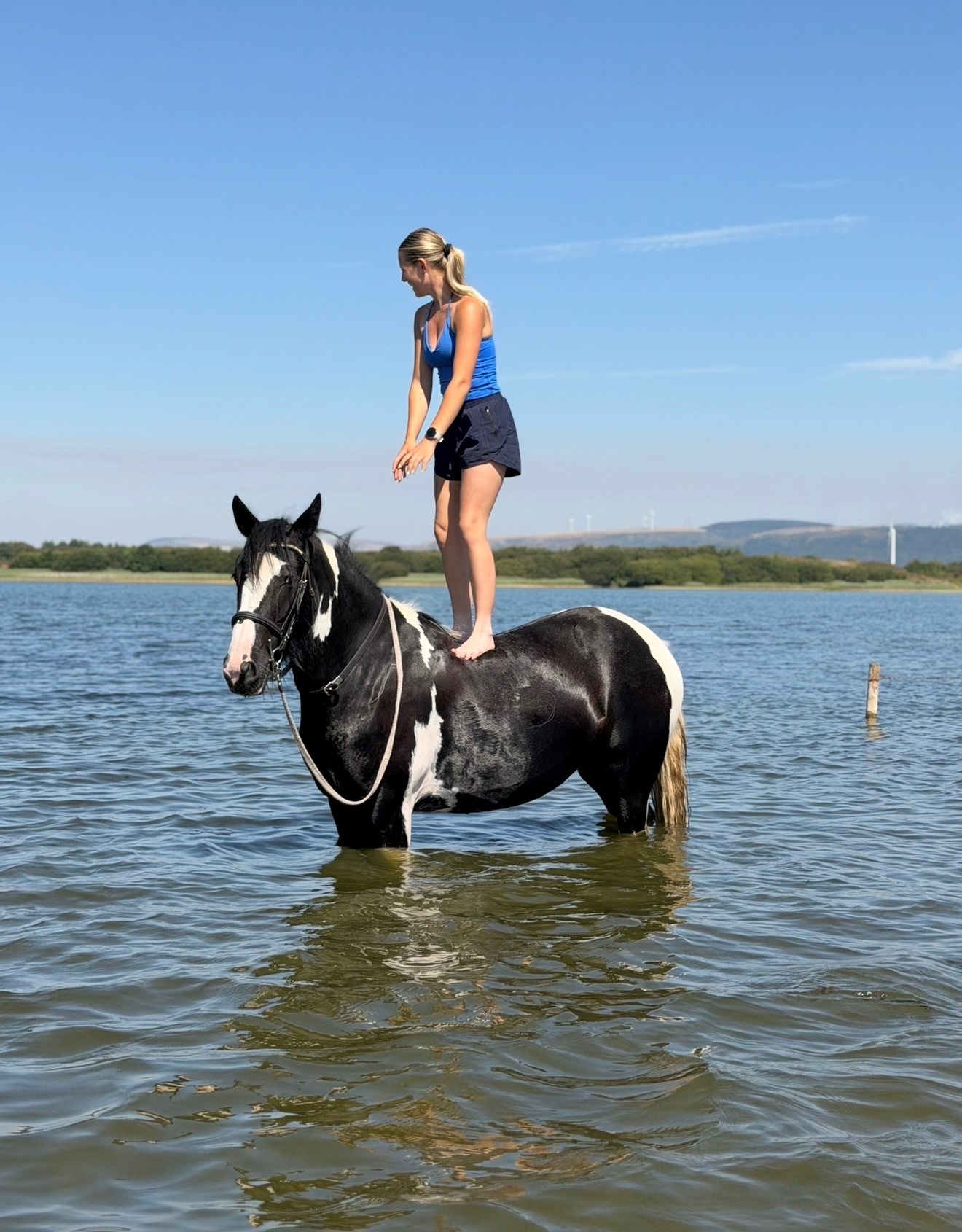 "Nova" Piebald Mare Coloured - Coloured Horses
