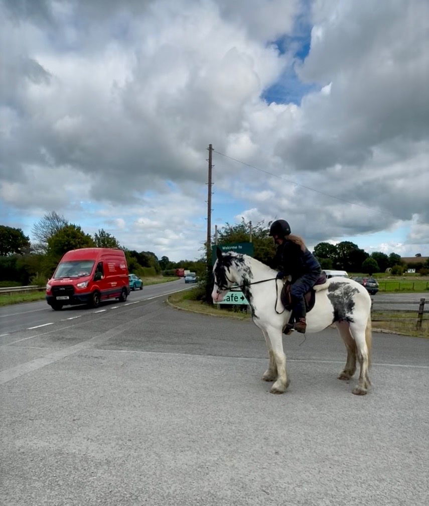 All Rounders - "Maisey" Blue & White Mare All Rounder
