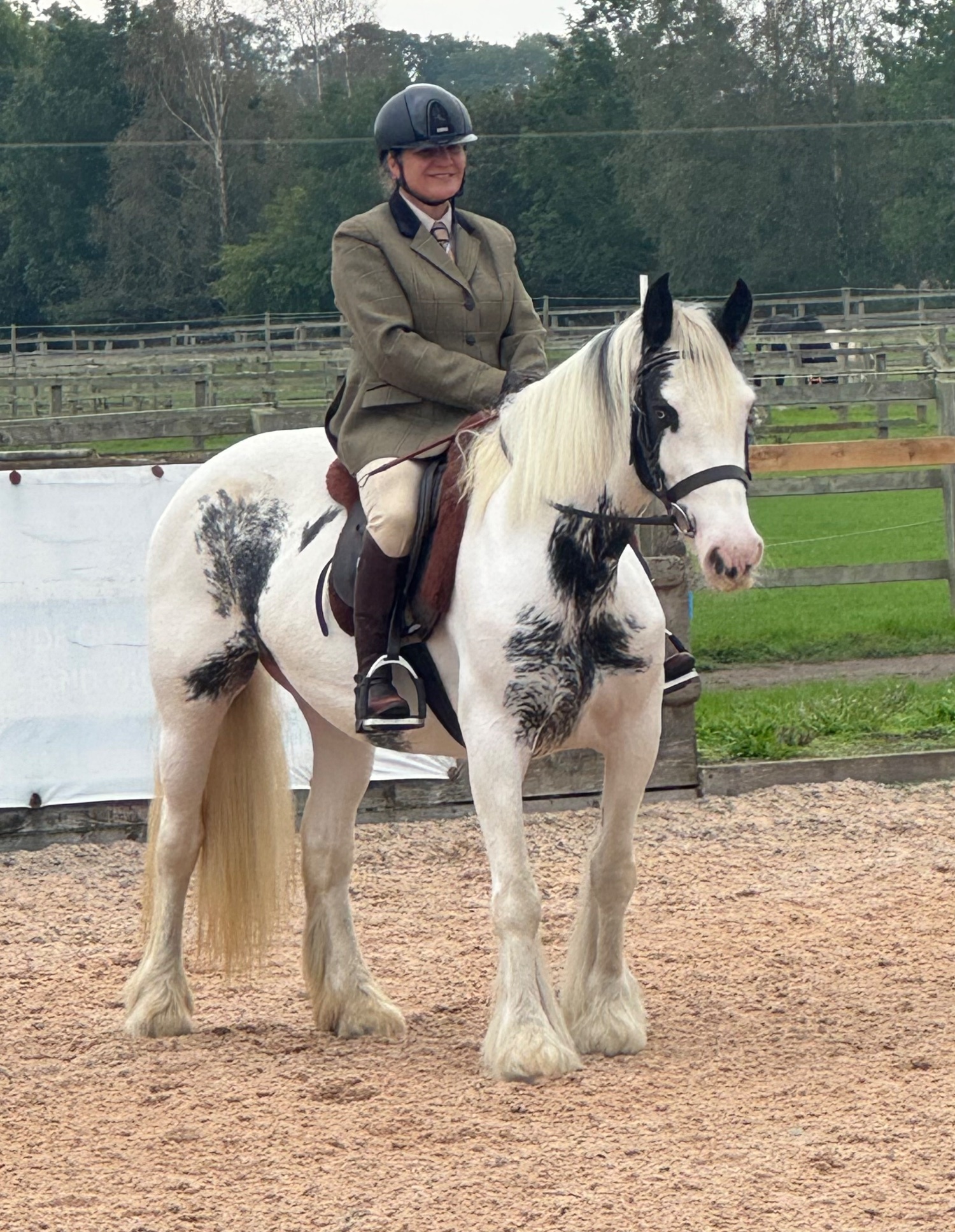 "Maisey" Blue & White Mare All Rounder - All Rounders 