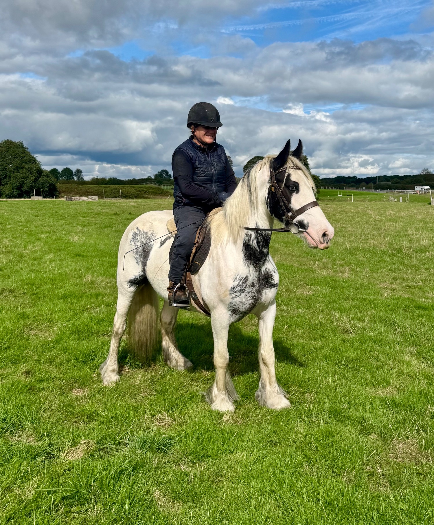 "Maisey" Blue & White Mare All Rounder