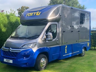 2025 Foxy Stallion Horsebox