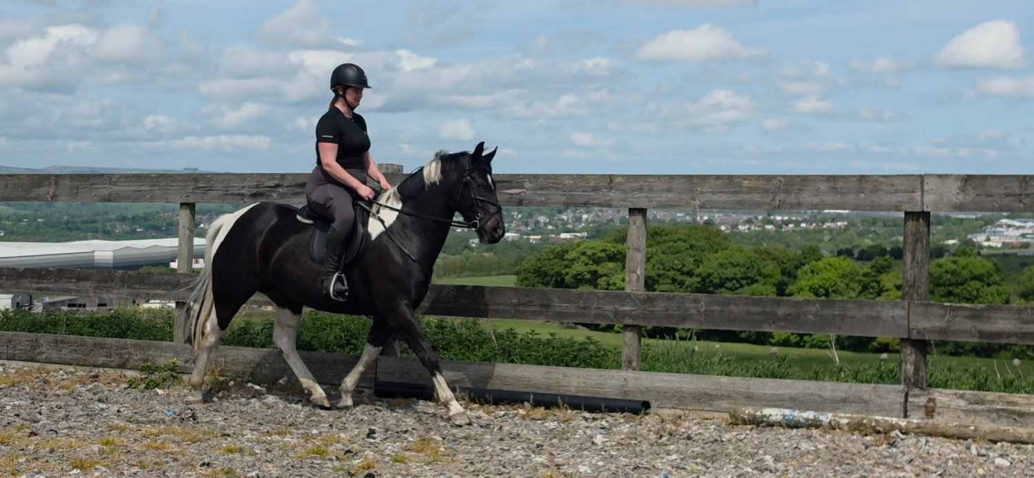 "Willow" Piebald Mare All Rounder
