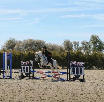 "Lismar Phoenix "  Gelding All Rounder