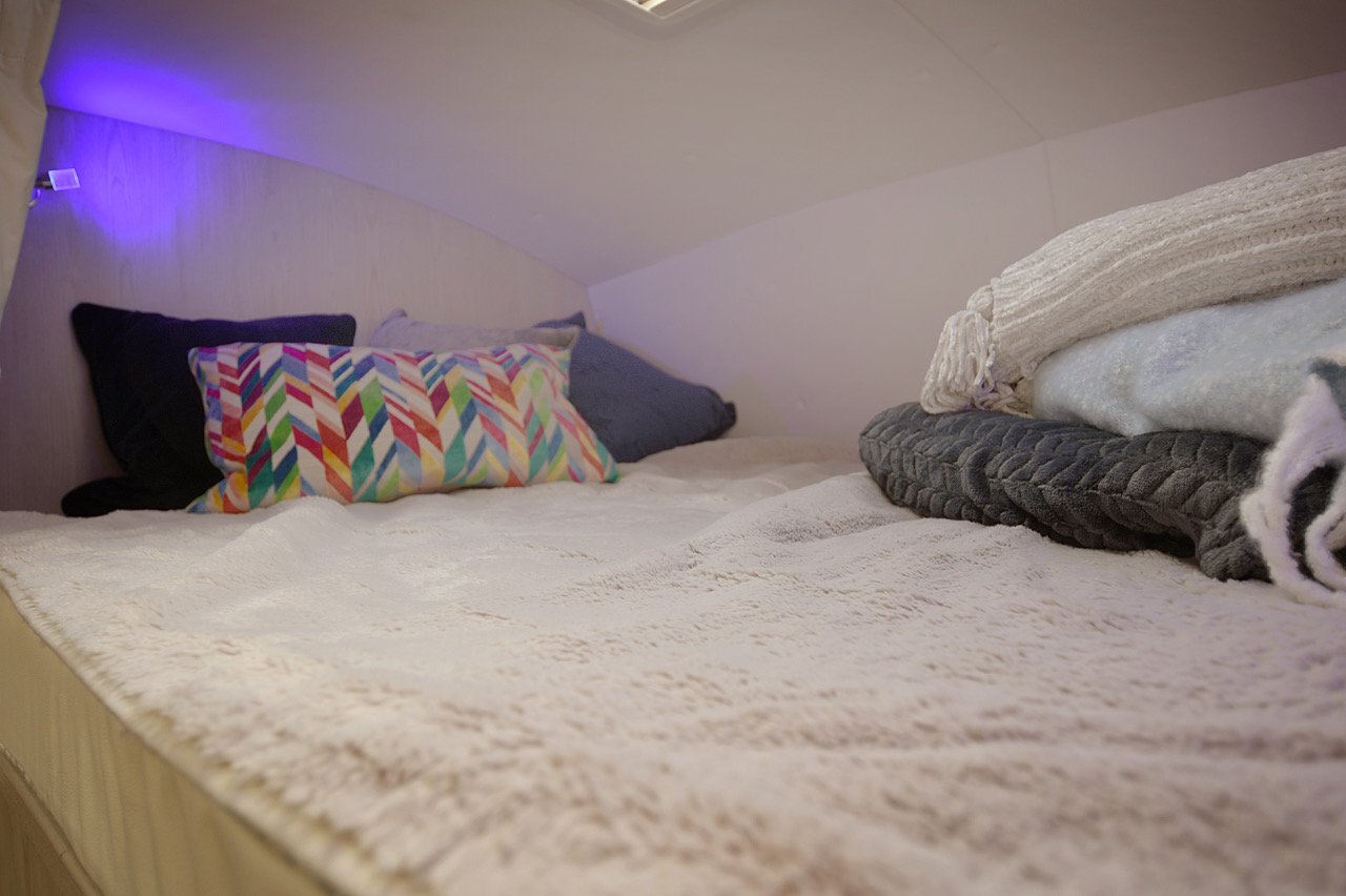 Equine Quality Luxury DAF Horsebox - Horseboxes 3.6-7.5 Tonnes in 