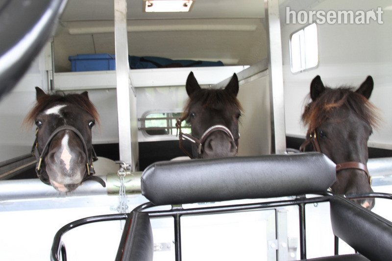Marlborough Carriage Box  Horsebox - Horseboxes Up to 3.5 Tonnes